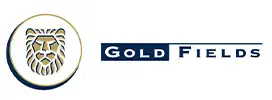 Gold Fields